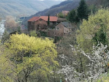 La Jourdanie printemps